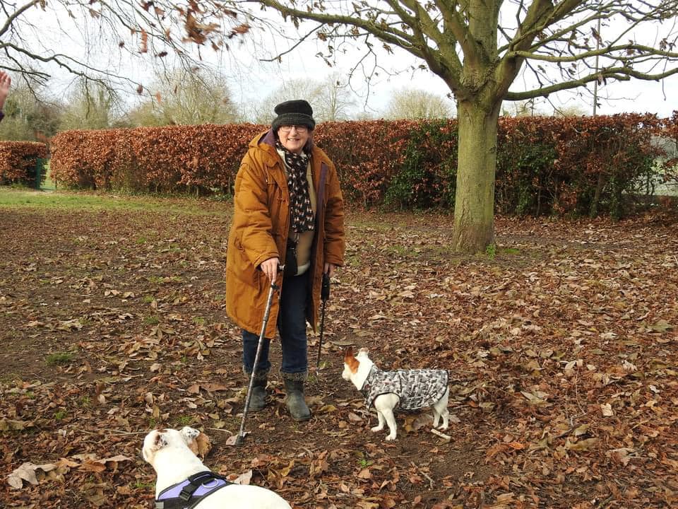 Lyndsay and Quirky Burtie the Jack Russell walking near a tree and hedgerow in falling leaves with another white dog. Lyndsay is wrapped up for autumn wearing her hat and scarf and padded coat,