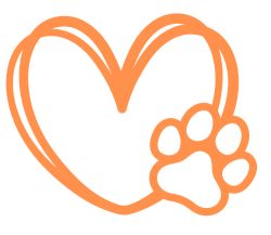 Quirky Burtie Jack Russel Adventures