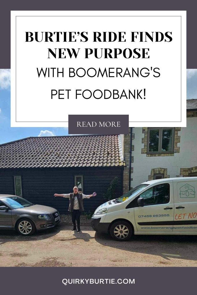 Quirky Burtie Boomerang's Pet Foodbank blog post Pinterest pin image