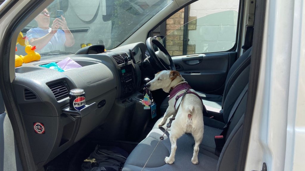 Quirky Burtie in Boomerang's Pet Foodbank's Van