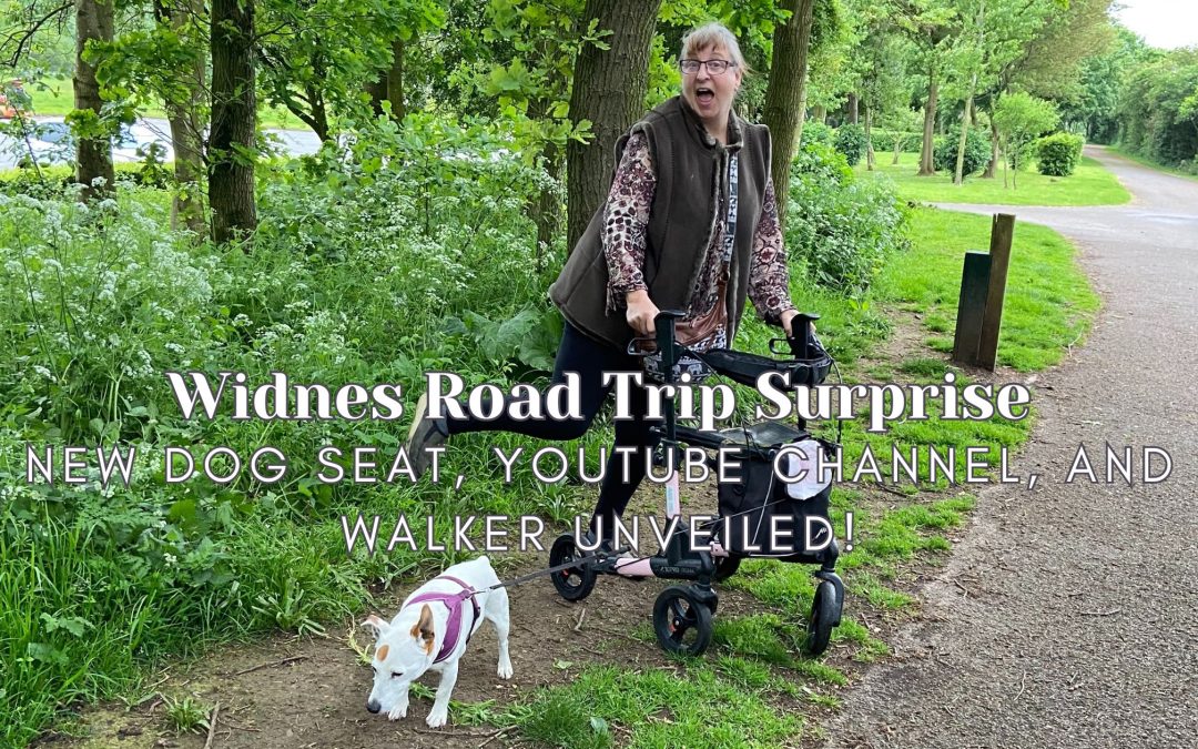 Widnes Road Trip Surprise: New Dog Seat, YouTube Channel, and Walker Unveiled!
