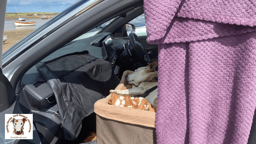 Burt taking time out in the car. Asleep in the PetSafe car Booster seat. The car door is open. Boats, estury and blue sky can be seen through the car window